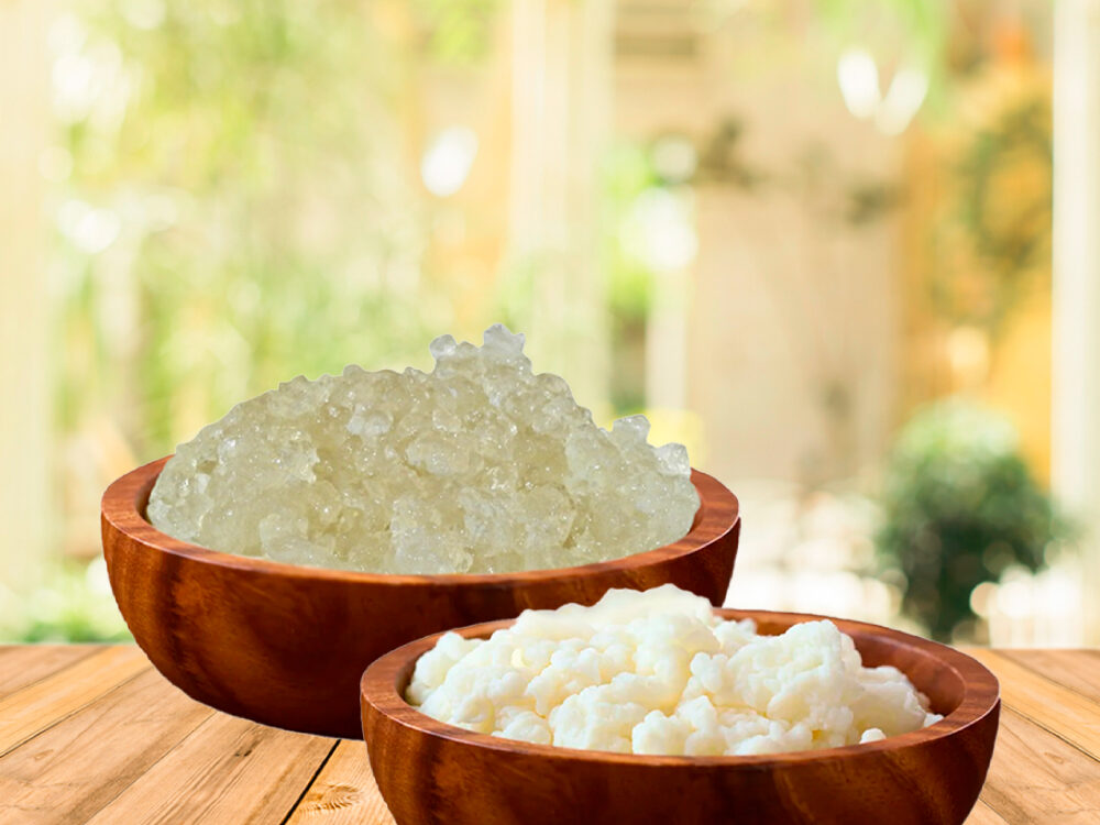 Búlgaros de kéfir: beneficios, propiedades y cómo prepararlo en casa