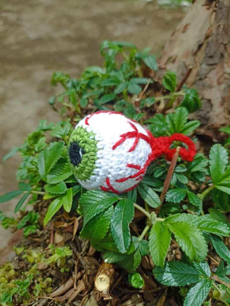 WhatsApp Image 2026-02-11 at 12.23.16 AM